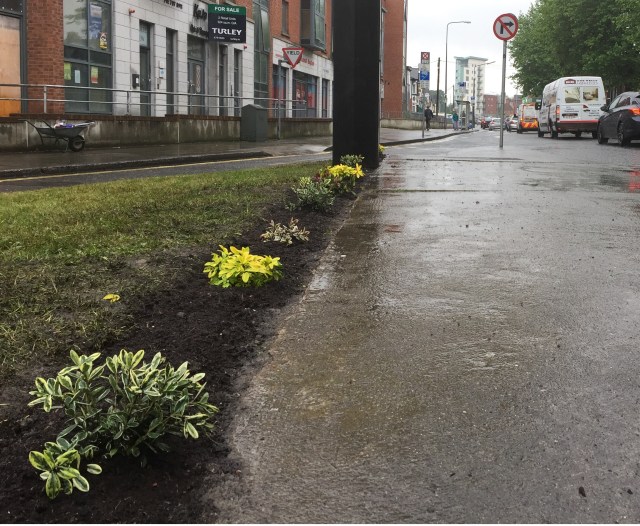 new bed 1 cropped.jpg